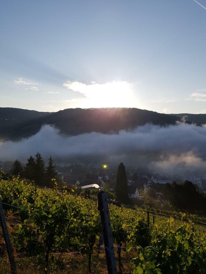 Mosella Ferienwohnungen Bernkastel-Kues Esterno foto